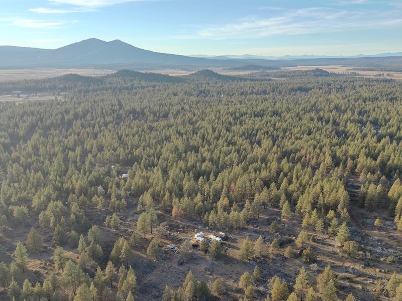 Outdoorsmans Dream Secluded & Treed : Chiloquin : Klamath County : Oregon