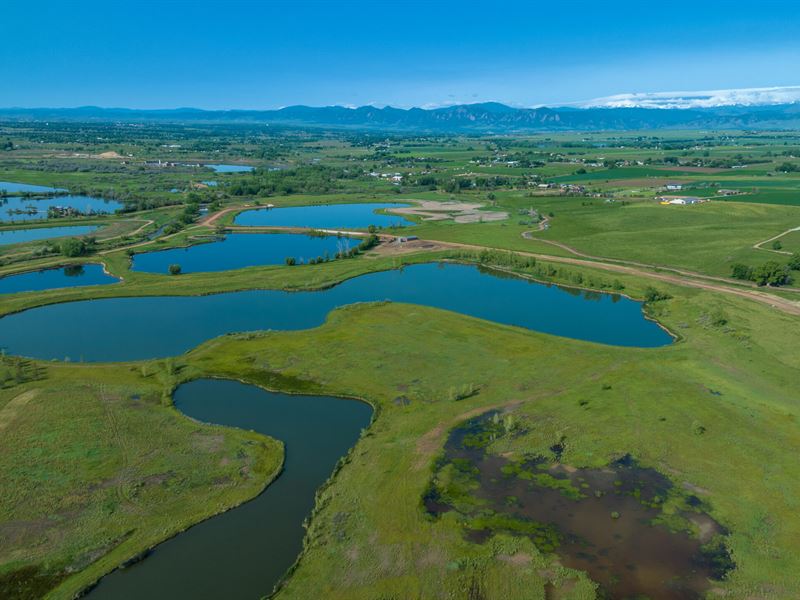 Nelson Lakes, Lot 2 : Frederick : Weld County : Colorado