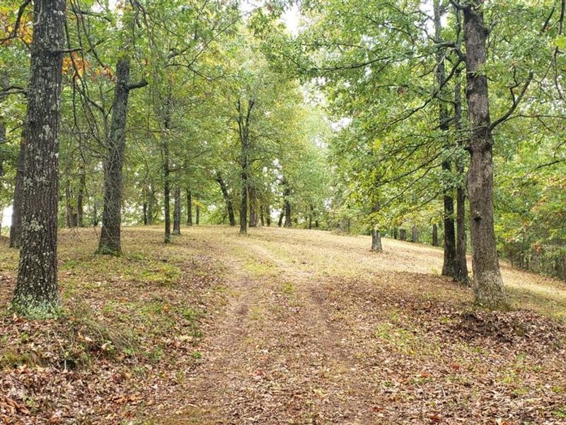 Ozarks Dream 40 : Yellville : Marion County : Arkansas