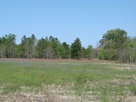 Brier Creek Tract : Wrens : McDuffie County : Georgia