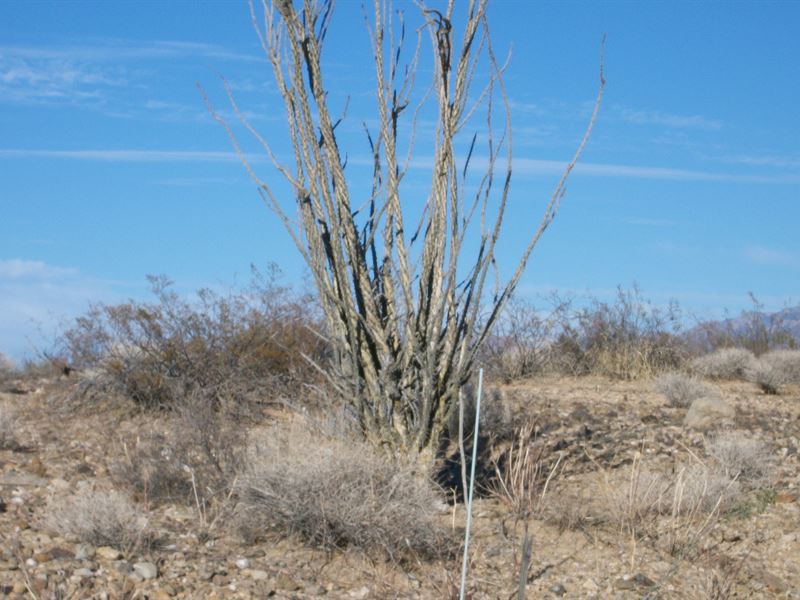 Access I-40 in Yucca, Az, One Sold : Yucca : Mohave County : Arizona