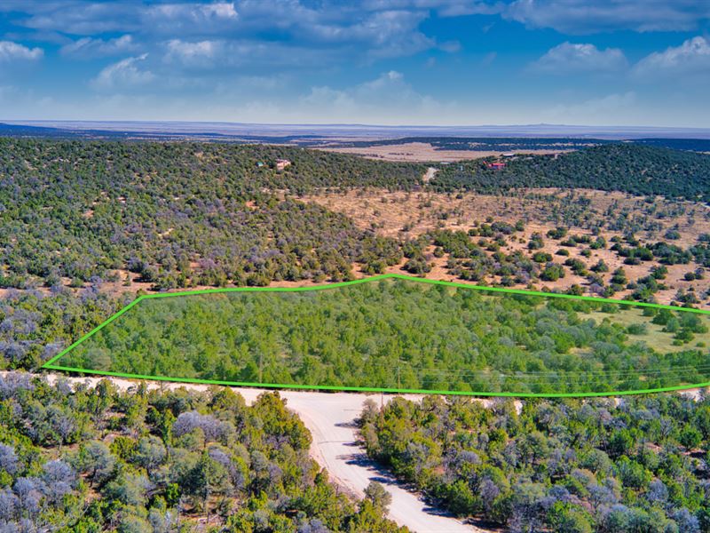 Power, Access, Near National Forest : Estancia : Torrance County : New Mexico