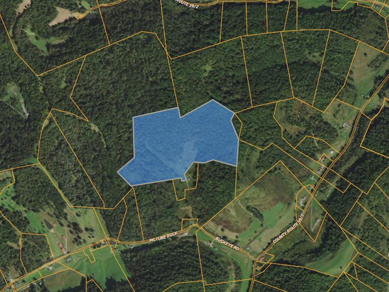 67 Beautiful Acres in WV : Fairview : Monongalia County : West Virginia