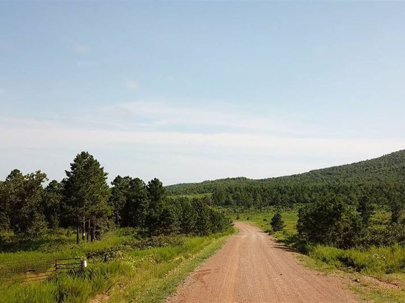 6.06 Acre in Le Flore County, OK : Wister : Le Flore County : Oklahoma