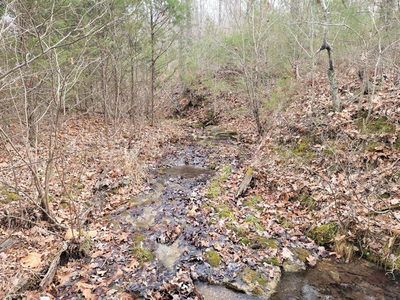 23.50 Acres in Yellville, Arkansas : Yellville : Marion County : Arkansas