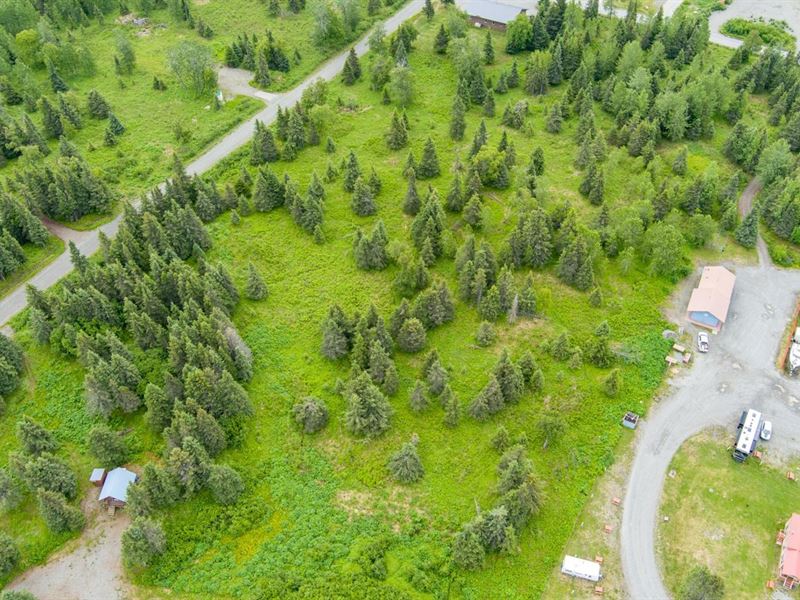15679 Conrad St, Ninilchik : Ninilchik : Kenai Peninsula Borough : Alaska