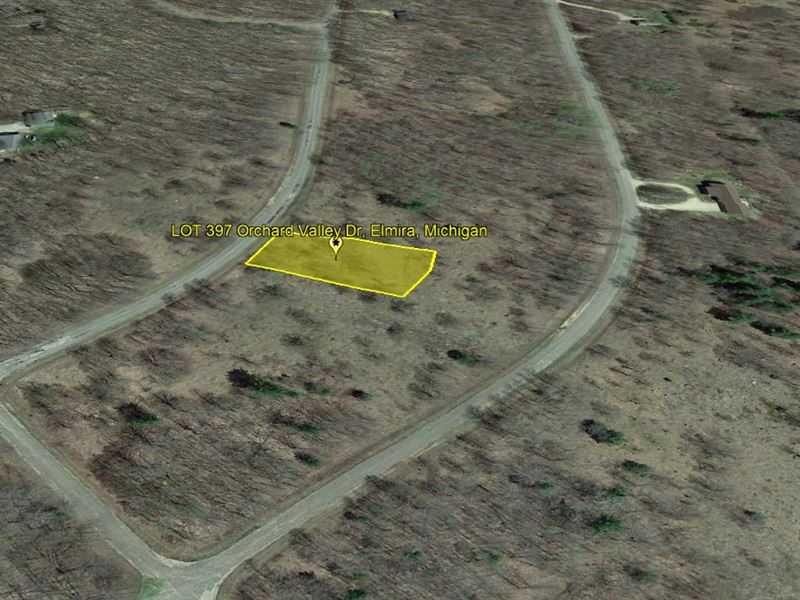$0 Down Residential Lot : Elmira : Antrim County : Michigan