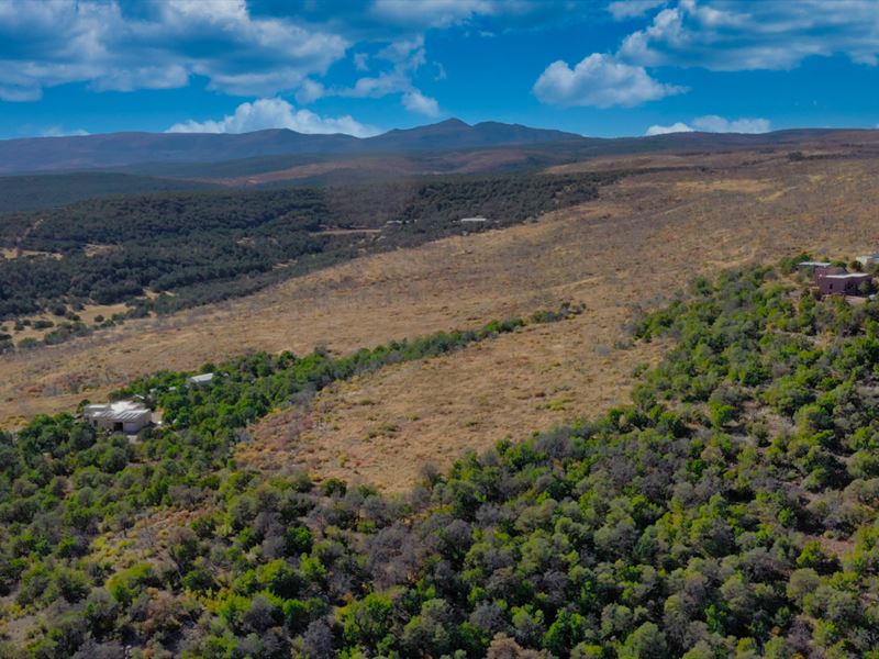 Corner Lot, Power, Near Ntnl Forest : Estancia : Torrance County : New Mexico