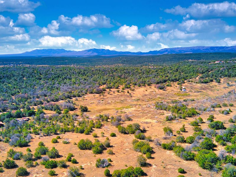 Gated Community, Power & Internet : Estancia : Torrance County : New Mexico