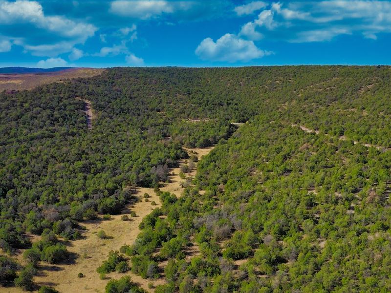 Power & Internet in Gated Community : Estancia : Torrance County : New Mexico