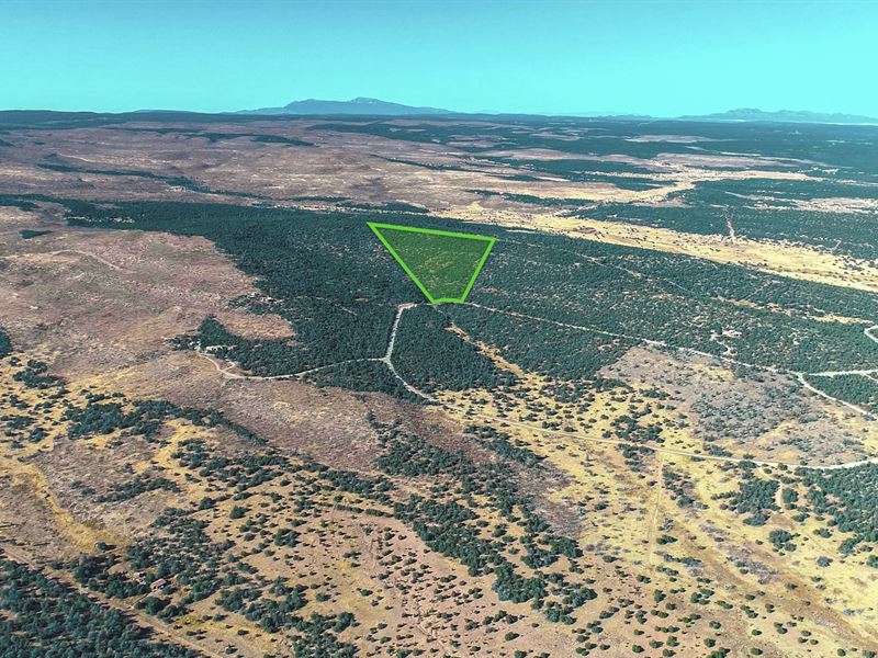 Gated Community, Internet & Power : Estancia : Torrance County : New Mexico