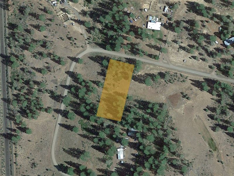 Property with Mountain Views : Lookout : Modoc County : California