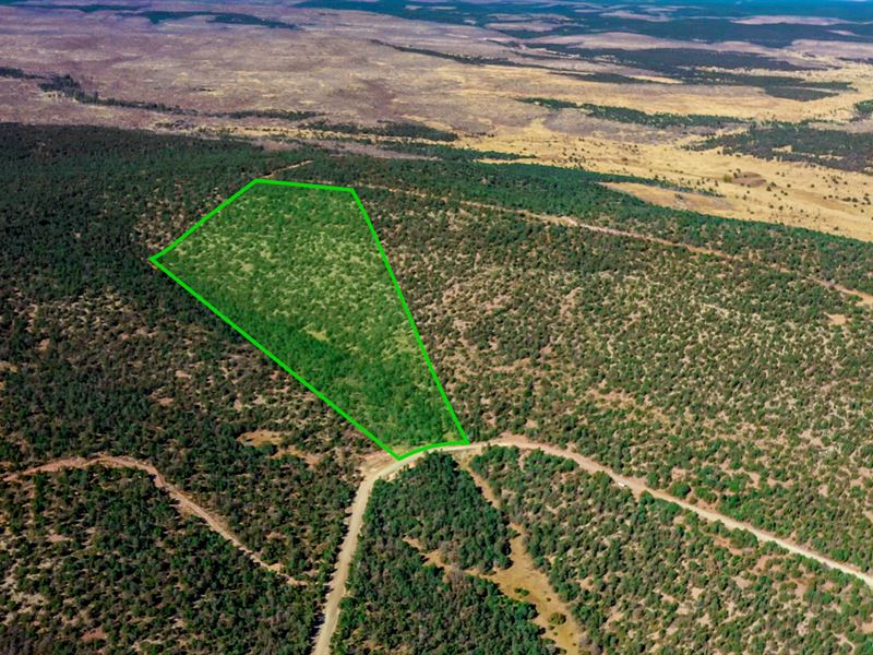Wooded, Power, Bordering Ntl Forest : Estancia : Torrance County : New Mexico