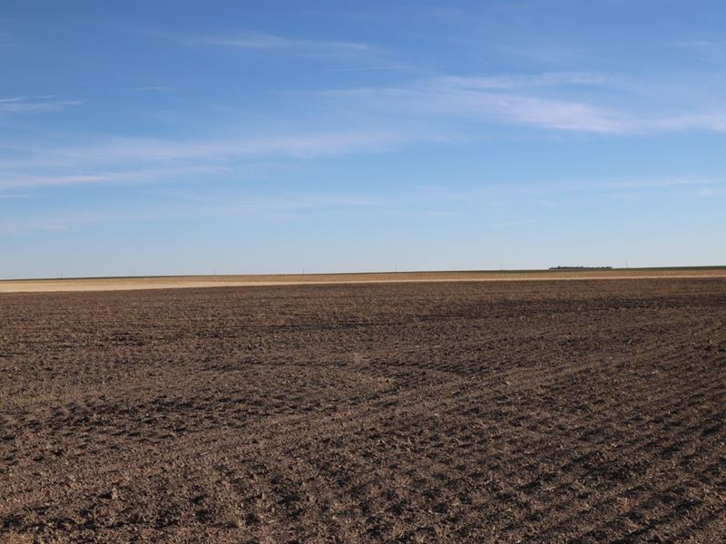 Morean Felzien Estate Dryland : Sterling : Logan County : Colorado