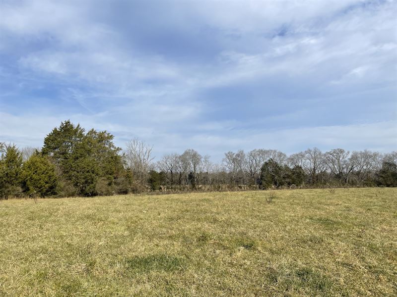 Beautiful Gently Rolling Acreage Land Auction in Decatur, Meigs