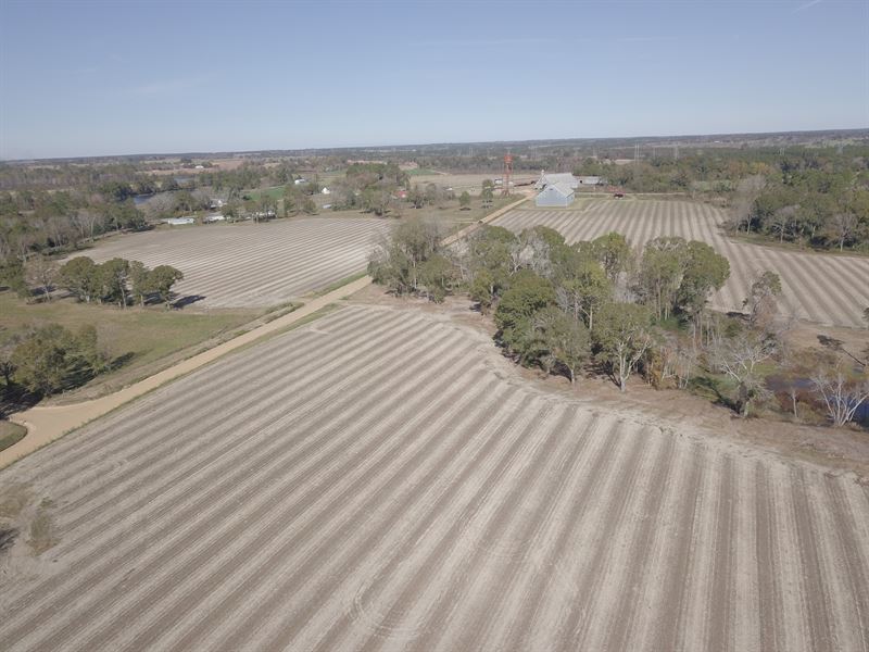 Excellent Cropland & Homesites : Ashburn : Turner County : Georgia