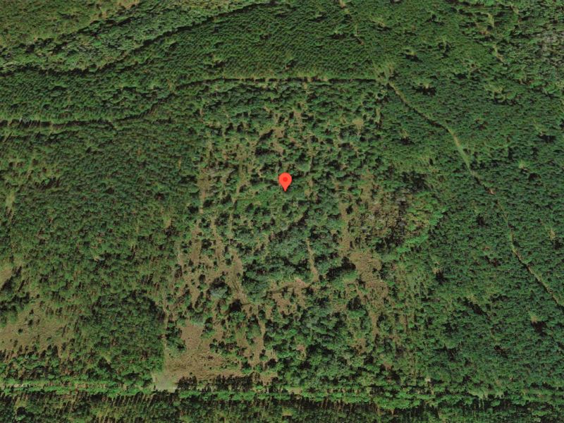 Wonderful 20 Acre Agricultural Land : Bunnell : Flagler County : Florida