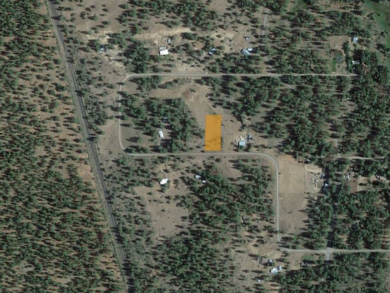 Retreat Property with Electric : Lookout : Modoc County : California