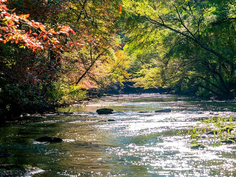 Whitewater River Property : Jasper : Walker County : Alabama