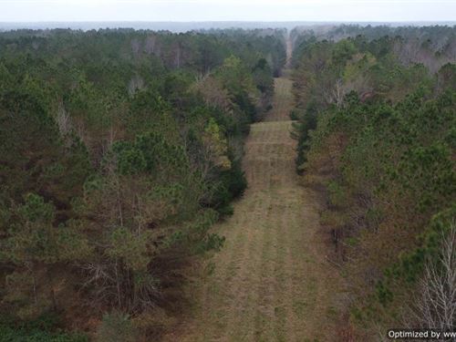 Hunting Paradise In Holmes County : Lexington : Holmes County : Mississippi