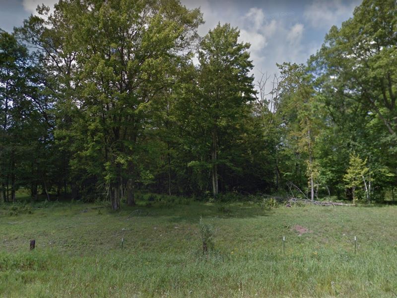 Forest, Recreational & Residential : Meadow Brook : Cass County : Minnesota