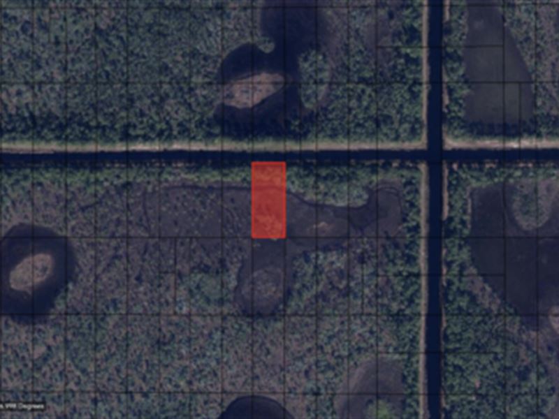 Palm Beach Heights : Jupiter : Martin County : Florida