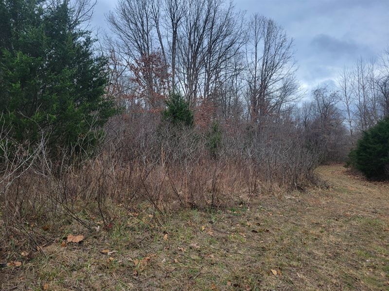 Land for Sale in South Central MO : Norwood : Douglas County : Missouri