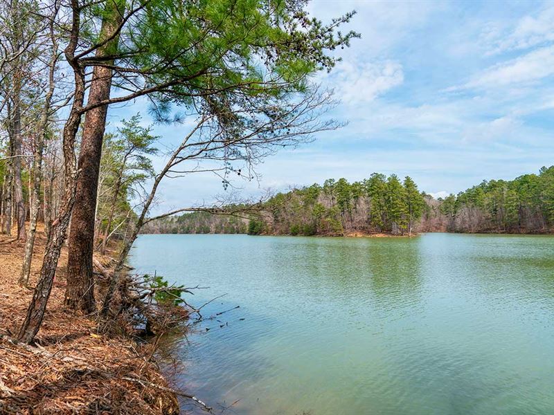 Lakefront Community on Smith Lake : Double Springs : Winston County : Alabama