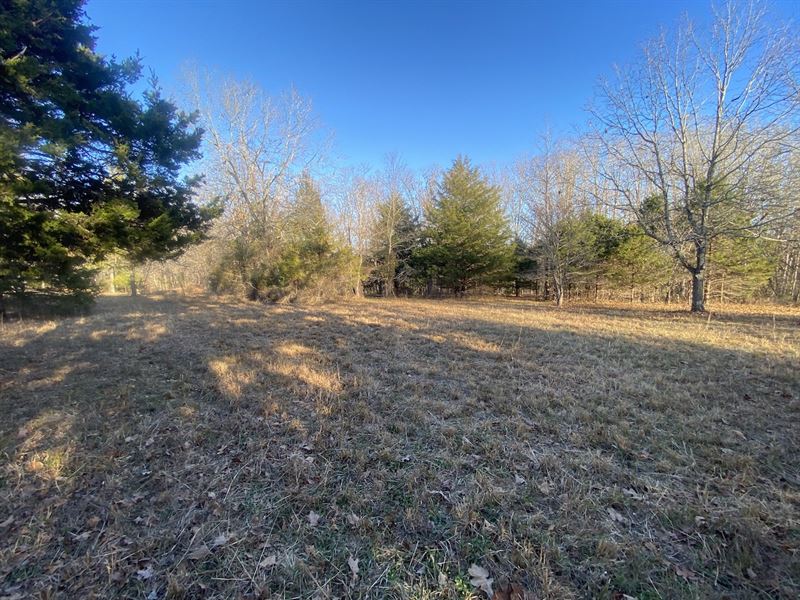 Land for Sale in Southern Missouri : Mountain View : Howell County : Missouri