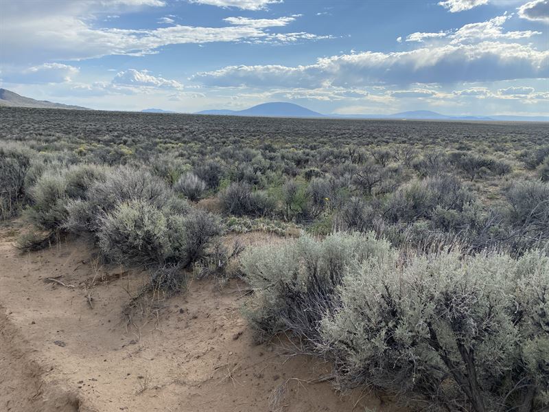 Wild Horse Mesa, Views for Days : San Luis : Costilla County : Colorado