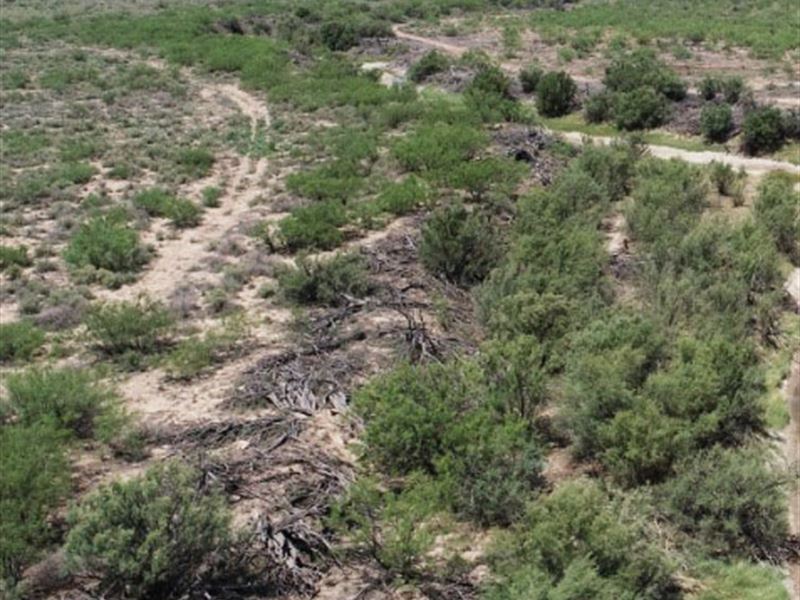 Off Grid Living in Texas : Monahans : Ward County : Texas