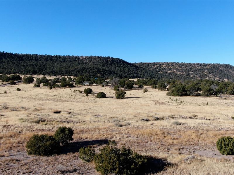 5 Ac in Catron County, New Mexico : Quemado : Catron County : New Mexico