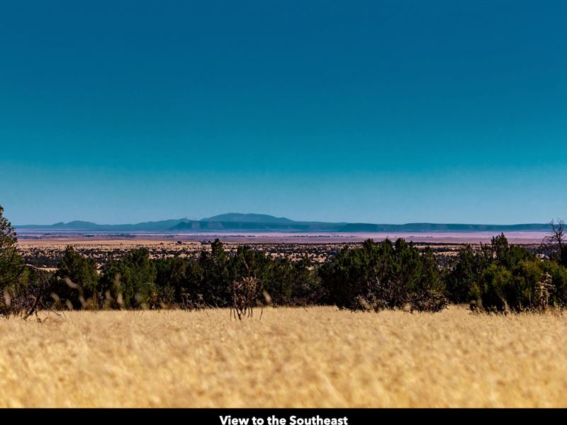 Power & Access Near National Forest : Estancia : Torrance County : New Mexico