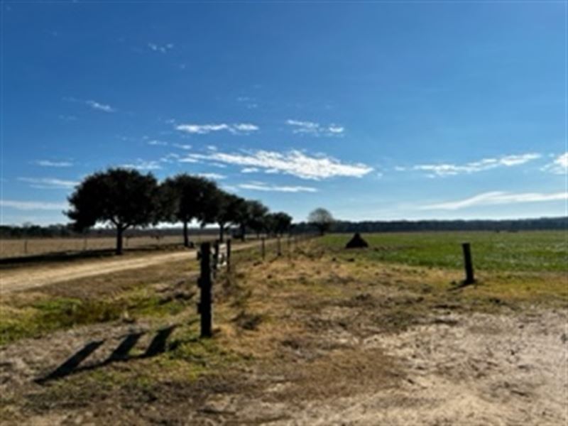 Beautiful 1,011+ Acres in Meadville : Meadville : Franklin County : Mississippi