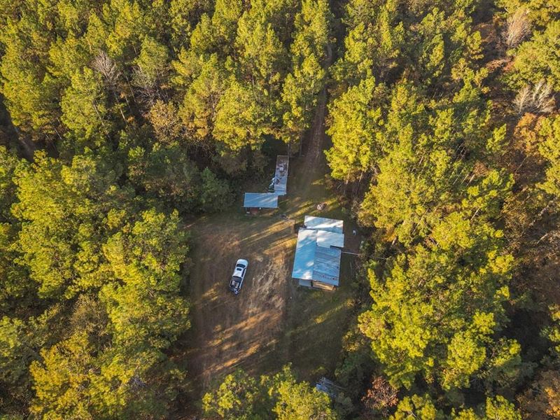 40 Acres Land for Sale Surrounded, Land for Sale in Mississippi