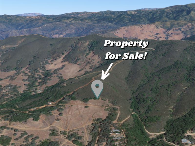 View of Clear Lake : Nice : Lake County : California