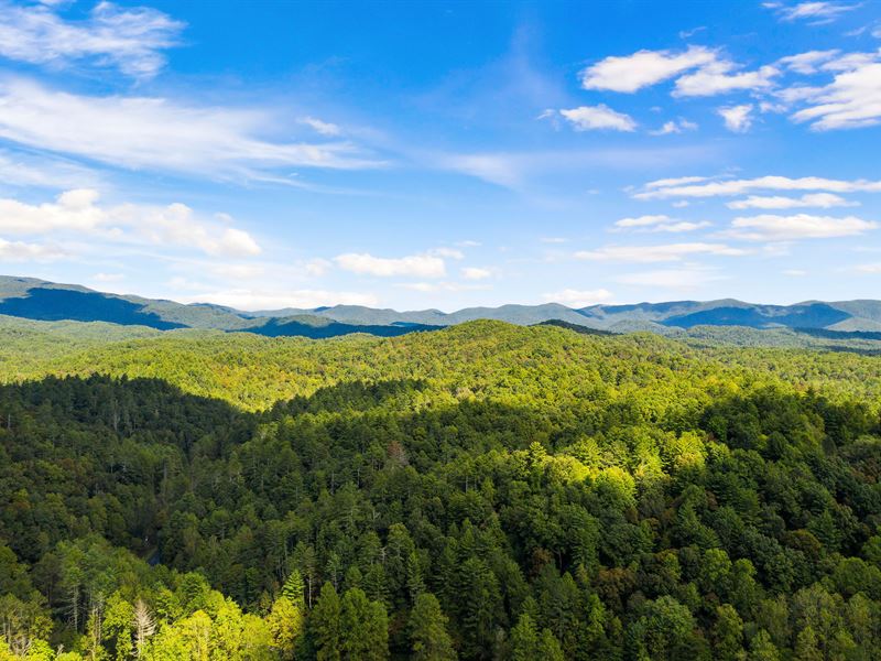 78.54 Ac, Creek Frontage in Ellijay : Ellijay : Gilmer County : Georgia