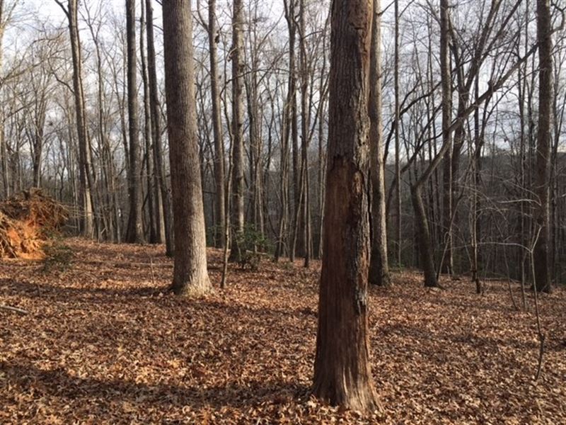13.58 Acres, Unrestricte : Easley : Pickens County : South Carolina