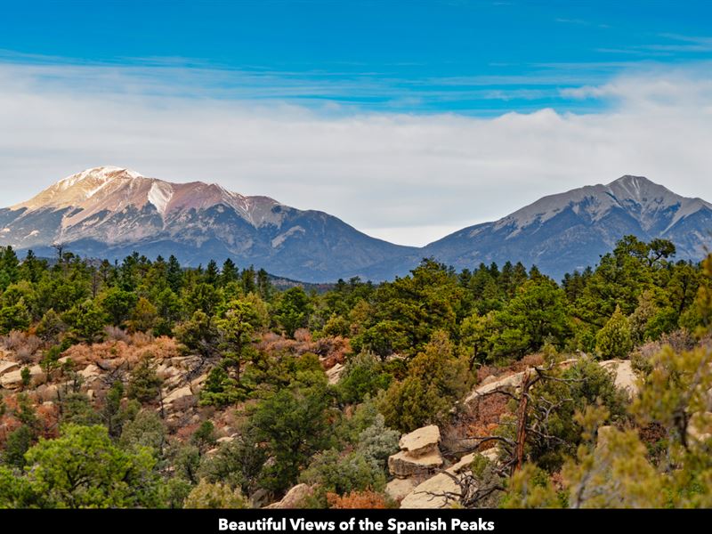 Wooded Mountain Acreage with Power : Trinidad : Las Animas County : Colorado