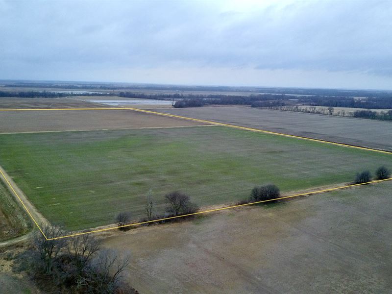 Investment Farmland in Northeast AR : Bono : Craighead County : Arkansas