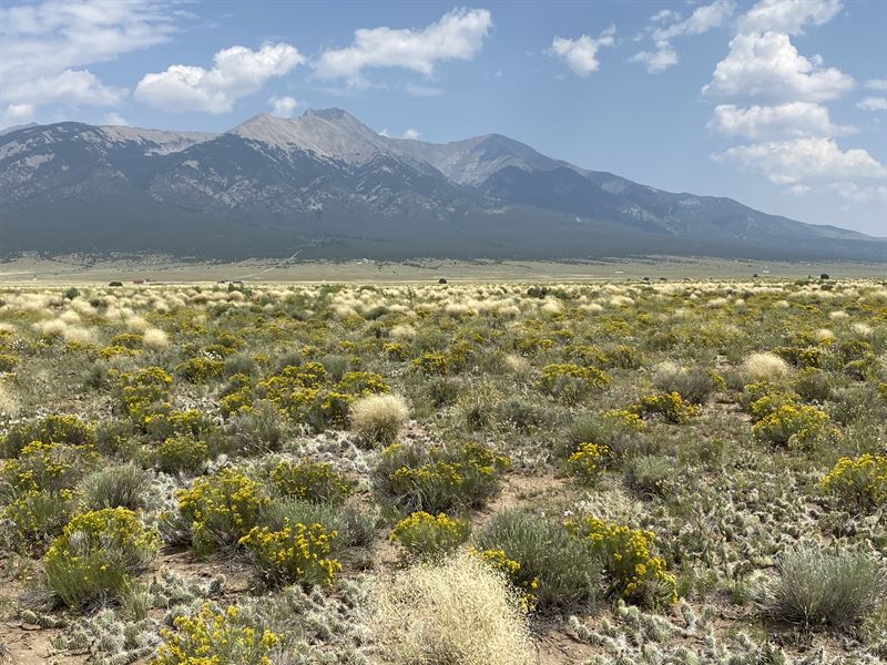 Affordable Land with Mountain Views : San Acacio : Costilla County : Colorado