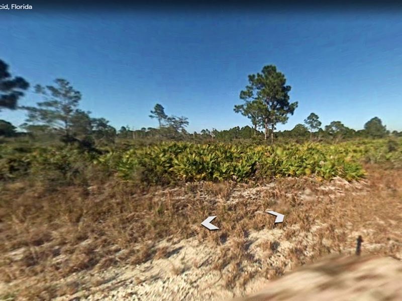 Peaceful Double Lot, Leisure Lakes : Lake Placid : Highlands County : Florida