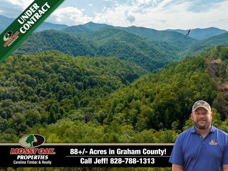 88 Acres Nestled in The Mountain : Robbinsville : Graham County : North Carolina