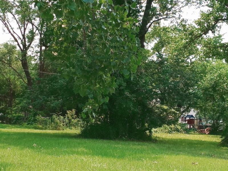 Cleared and Close to Indiana Dunes : Portage : Porter County : Indiana