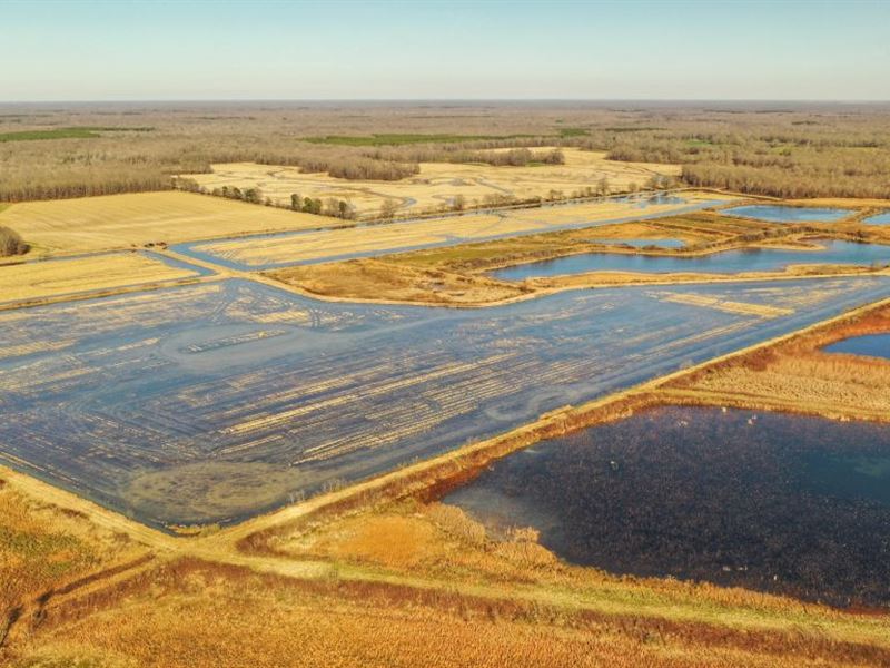 Honey Creek Farm : Devalls Bluff : Prairie County : Arkansas