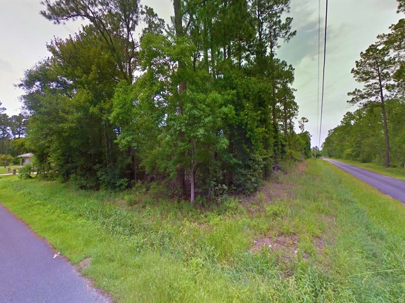 .24 Acre in Bay Saint Louis, MS : Bay Saint Louis : Hancock County : Mississippi