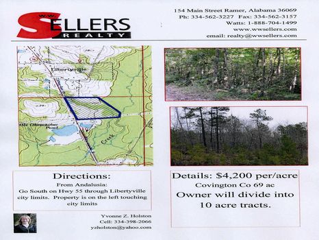 69 Wooded Ac near Libertyville : Libertyville : Covington County : Alabama