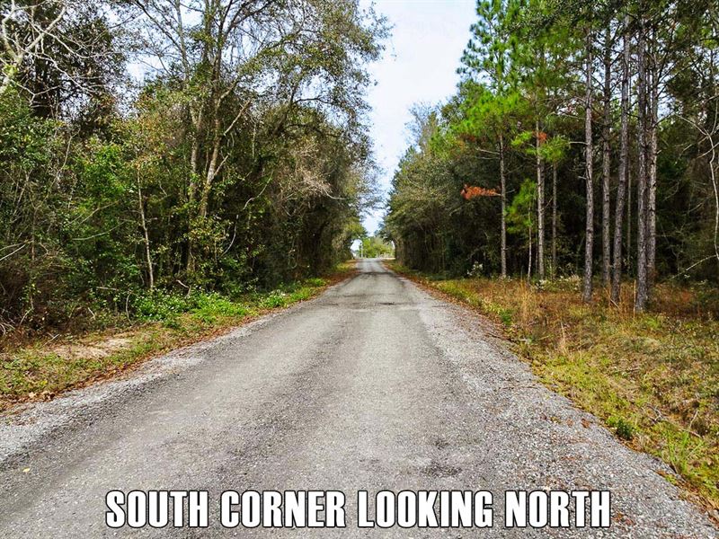 20 Percent Down, 20 Ac, Paved Road : Defuniak Springs : Walton County : Florida
