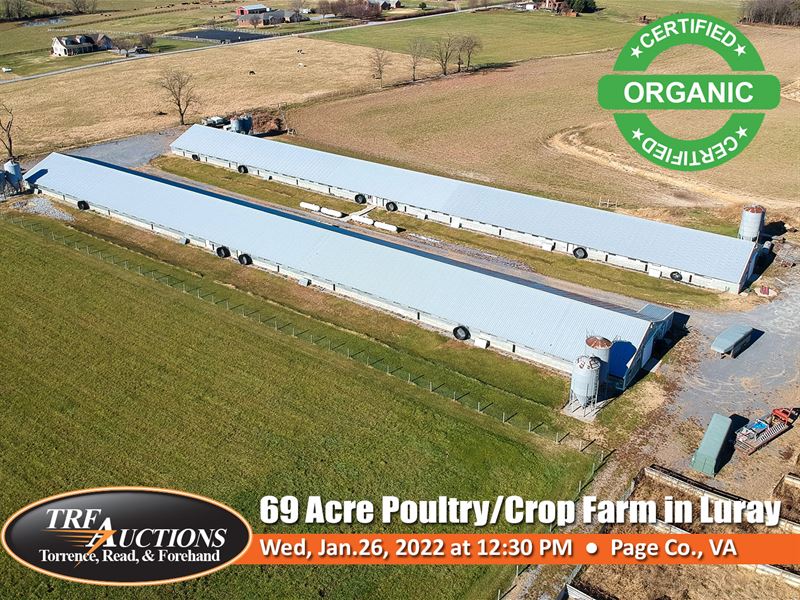 Organic Poultry and Crop Farm : Luray : Page County : Virginia
