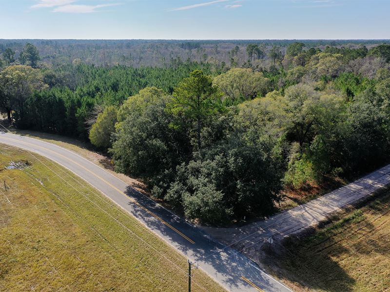 Rural Homesite & Recreational Land : Jesup : Wayne County : Georgia